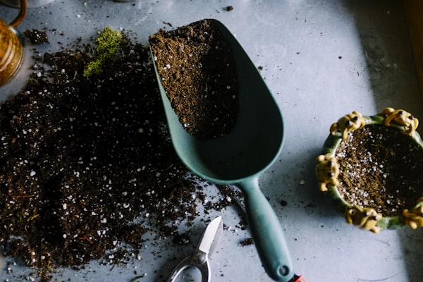 Landscaping & Lawn Care Local SEO Treasure Coast FL